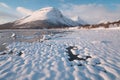 Pink early morning glow light on snow covered mountains in arctic norway, super wide panoramic scene. Scenic winter view