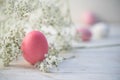 Pink easter egg and gypsophila baby breath flower on white pai
