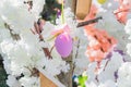 Pink easter egg hang on blooming apple tree branch. Easter decoration and celebration concept Royalty Free Stock Photo