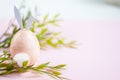 Easter egg rabbit sits on a pink background surrounded by green twigs. blank for designers with free space for text Royalty Free Stock Photo