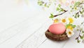 A pink Easter egg rests in a small nest surrounded by white and yellow spring flowers. Royalty Free Stock Photo