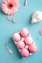 Pink Easter eggs, bunny, spring flower, petals on turquoise background. Flat lay, top view, trendy colors Royalty Free Stock Photo