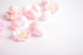 Pink Easter eggs and flowers on white background