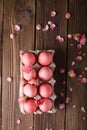 Pink Easter eggs on wodden background. Copyspace. Still life photo of lots of pink easter eggs.Background with easter eggs Royalty Free Stock Photo