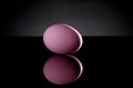 Pink Egg on Black Acrylic with Reflection