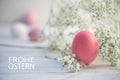 Pink egg and gypsophila baby breath flower on white painted ru