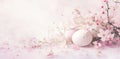Pink eggs and cherry or plum tree branch. Easter holiday horizontal banner Royalty Free Stock Photo
