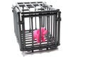 Pink elephant in cage