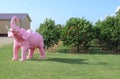 Pink Elephant Orchard