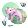 A pink elephant is eating grass in clearing summer day Royalty Free Stock Photo