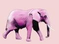 Pink Elephant Painting Royalty Free Stock Photo