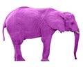 Pink Elephant w/Paths Royalty Free Stock Photo