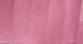 Pink Embossed Gator Leather Texture Royalty Free Stock Photo