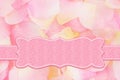 Pink empty banner with pink and yellow rose petals