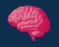 Pink engraving brain illustration on dark blue BG Royalty Free Stock Photo