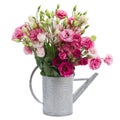 Pink eustoma flowers in watering can