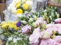 Pink eustoma in the store