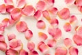 Pink fabric rose petals over white wood table background top view from above - marriage, love, wedding or valentine`s day Royalty Free Stock Photo