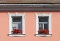 Pink facade with stucco decoration around the windows