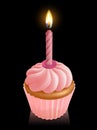 Pink fairy cake cupcake with birthday candle Royalty Free Stock Photo