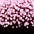 Pink falling petals