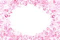 Pink falling sakura petals and flowers.Nature horizontal background. Royalty Free Stock Photo