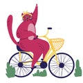 Pink fat cat rides on bicycle. Food basket. Outdoor sport s trip. Fitness lifestyle theme. Design elements for cards, posters, t-