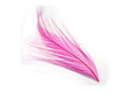 Pink feather Royalty Free Stock Photo