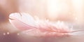 Pink Feather Background with Sparkle Details