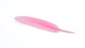 pink feather isolated on white background Royalty Free Stock Photo