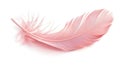 Pink Feather Isolated on White Background, Generative AI