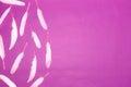 pink feather on the left side of the purple background, creative easy deisgn, everything is easy