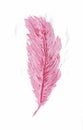 Pink feather painted with acrylics