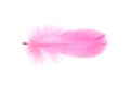 Pink feather Royalty Free Stock Photo