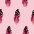 Pink Feather Seamless Pattern