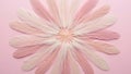 Pink feathers arranged in a circular pattern Royalty Free Stock Photo