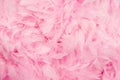 Pink feathers background Royalty Free Stock Photo