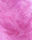 Pink Feathers Background - Stock photos Royalty Free Stock Photo