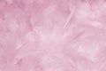 Pink Feathers Background - Stock photos Royalty Free Stock Photo