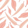 Pink feathers seamless pattern flat design Royalty Free Stock Photo