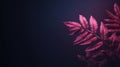 pink fern leaves on a dark background