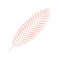 Pink fern tropical tree branch botanical romantic girlish decorative element 3d icon vector