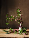 Pink fieldflowers branch inside glass vase