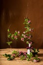 Pink fieldflowers branch inside glass vase