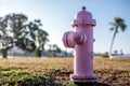 Pink fire hydrant Royalty Free Stock Photo