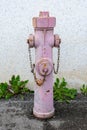 Pink fire hydrant Royalty Free Stock Photo