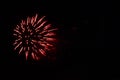 pink firework sparks bright on black night sky.copy space Royalty Free Stock Photo