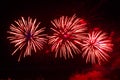 pink firework sparks bright on black night sky. Royalty Free Stock Photo