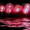 Pink fireworks Royalty Free Stock Photo