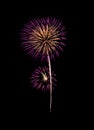 Pink fireworks sparkling on night sky Royalty Free Stock Photo